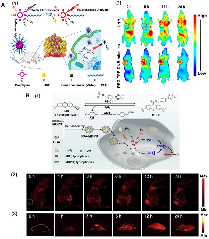 Theranostics Image