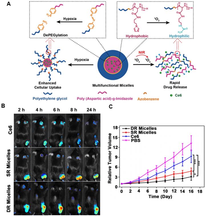 Theranostics Image