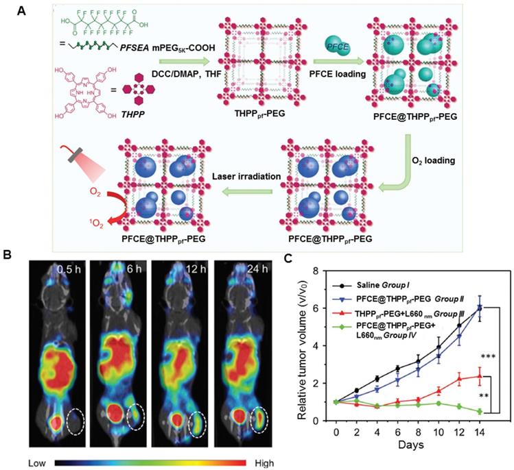 Theranostics Image