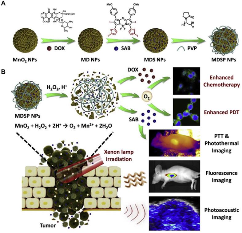 Theranostics Image