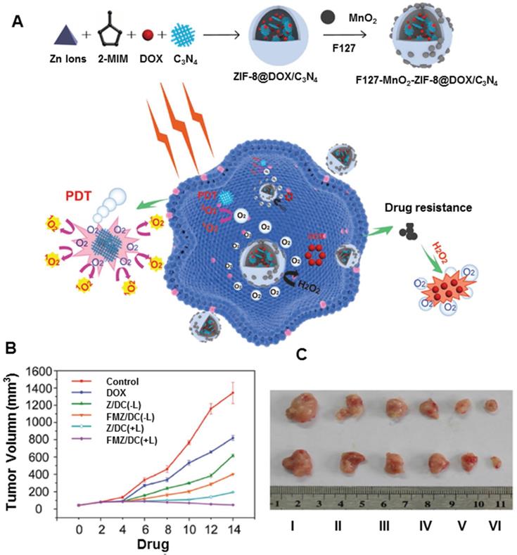 Theranostics Image