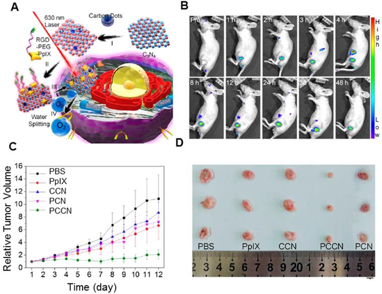 Theranostics Image