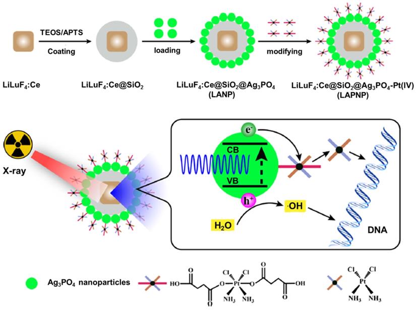 Theranostics Image