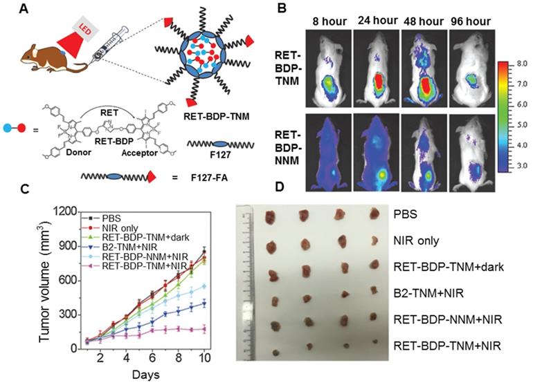 Theranostics Image