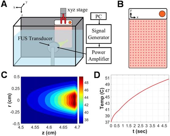 Theranostics Image