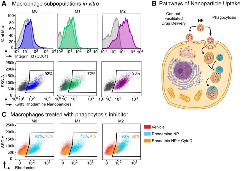 Theranostics Image