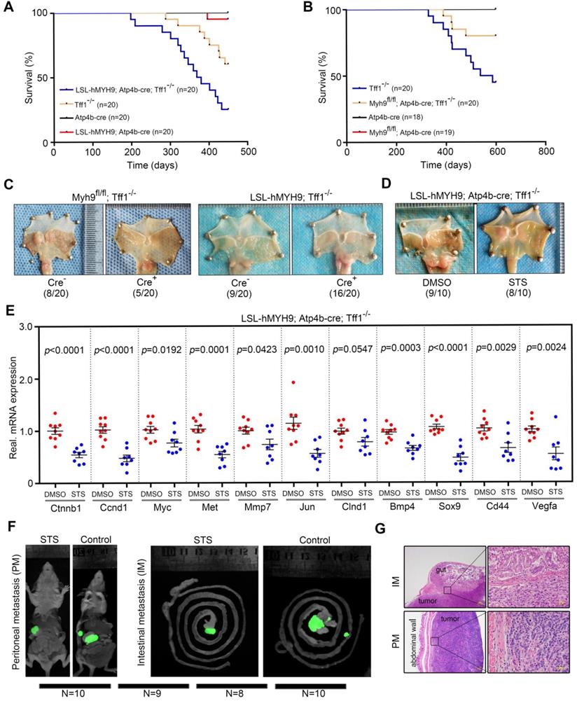 Theranostics Image