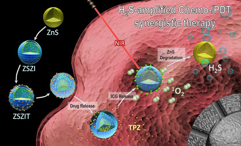 Theranostics Image