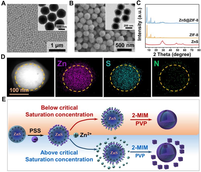 Theranostics Image