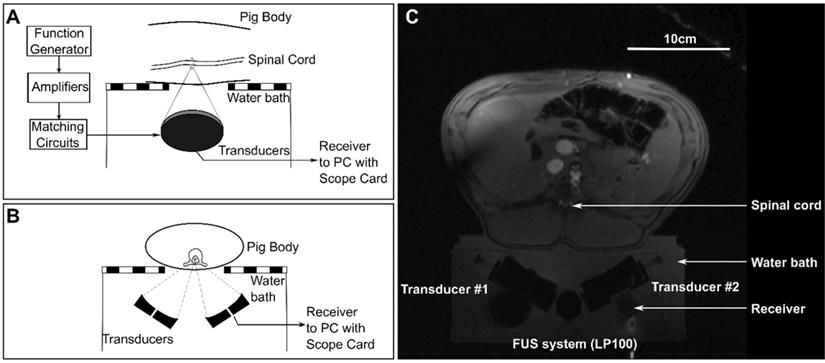 Theranostics Image