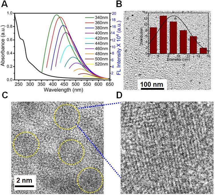 Theranostics Image