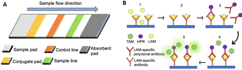 Theranostics Image