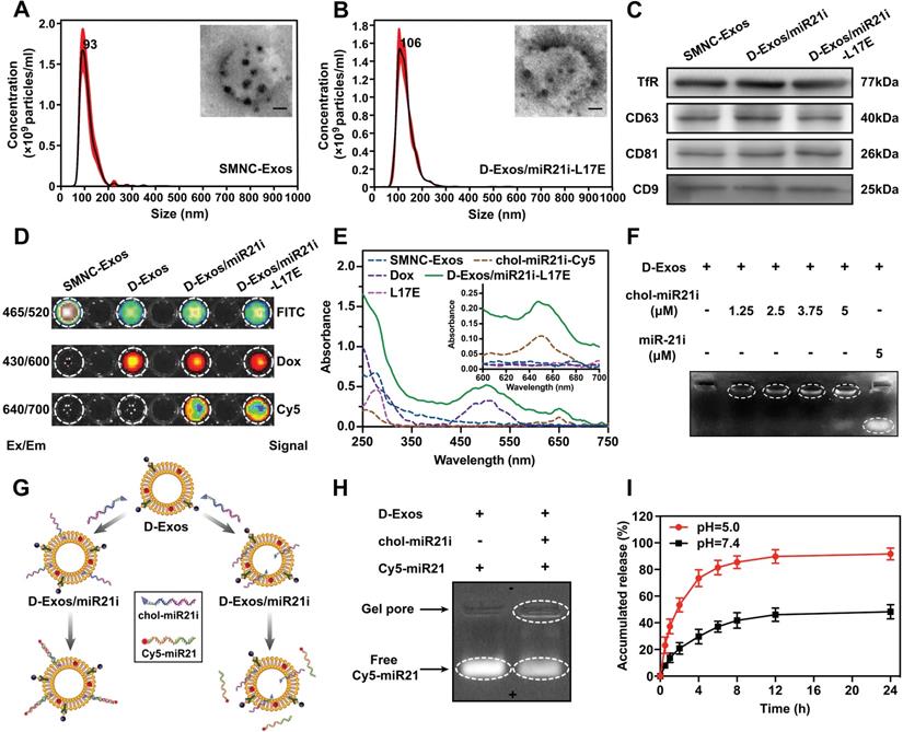 Theranostics Image