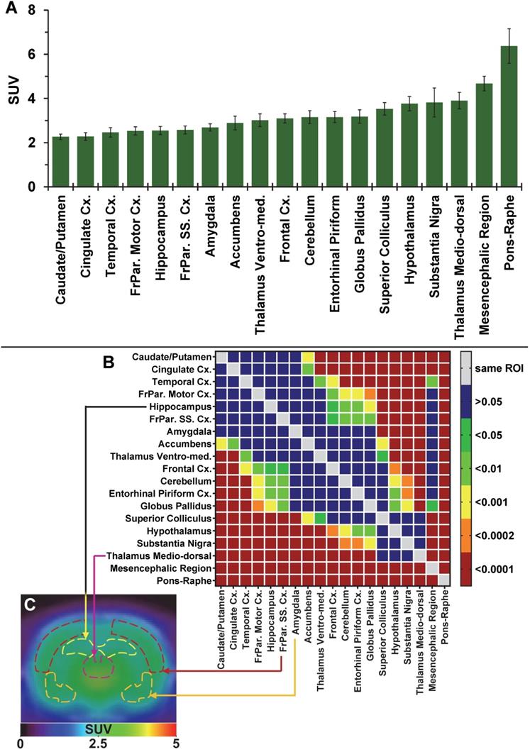 Theranostics Image