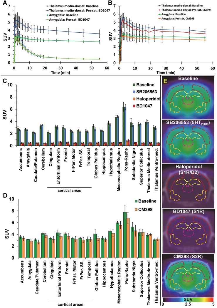 Theranostics Image