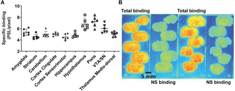 Theranostics Image