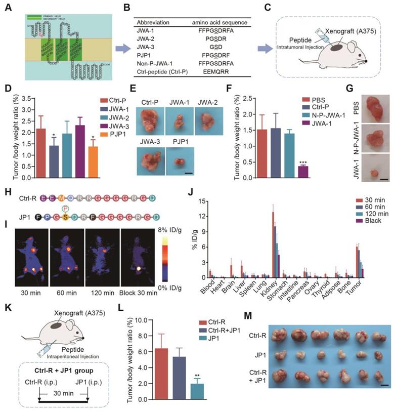 Theranostics Image