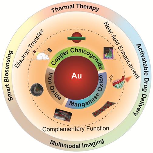 Theranostics Image