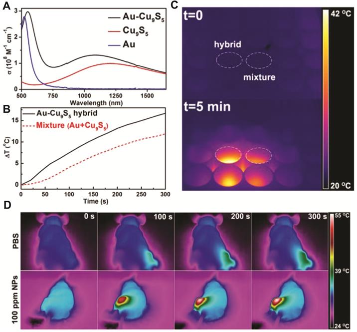 Theranostics Image