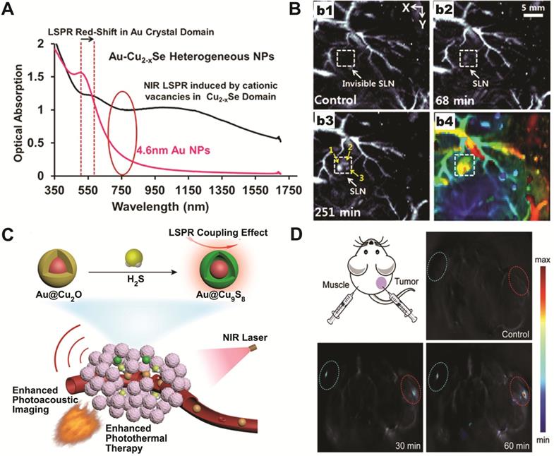 Theranostics Image