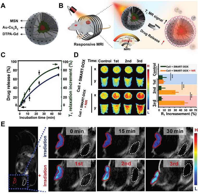 Theranostics Image