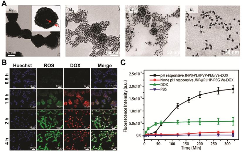 Theranostics Image