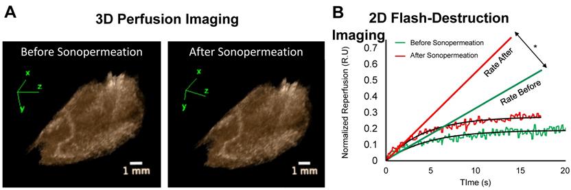 Theranostics Image