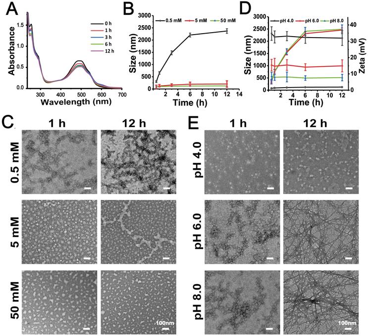 Theranostics Image