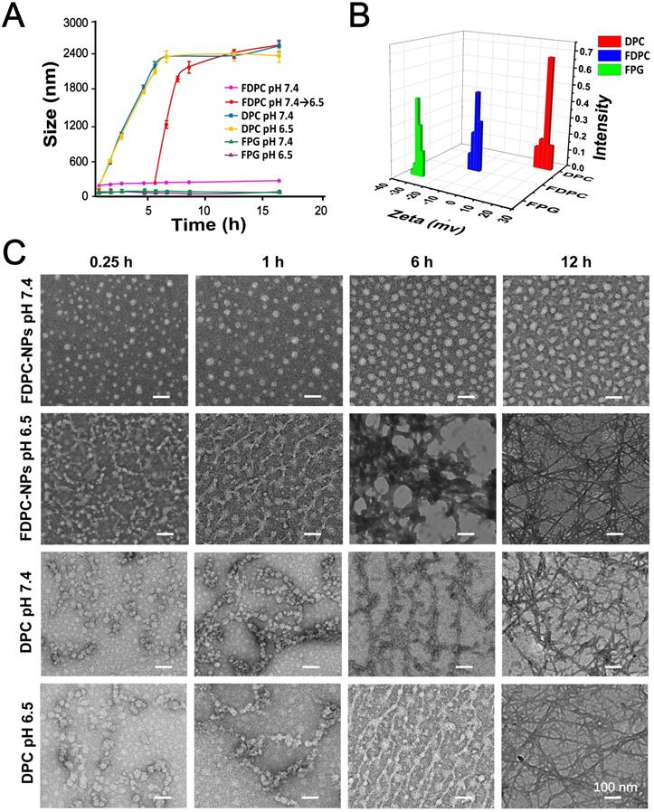 Theranostics Image