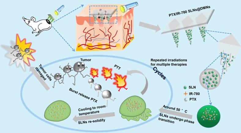 Theranostics Image