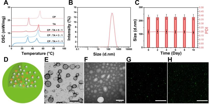 Theranostics Image