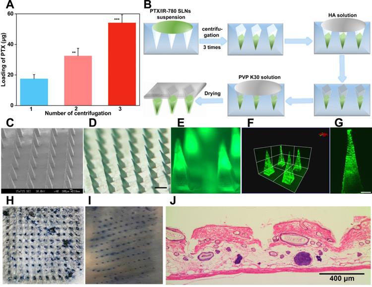 Theranostics Image