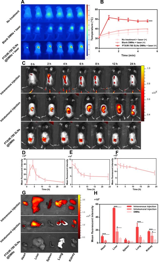 Theranostics Image