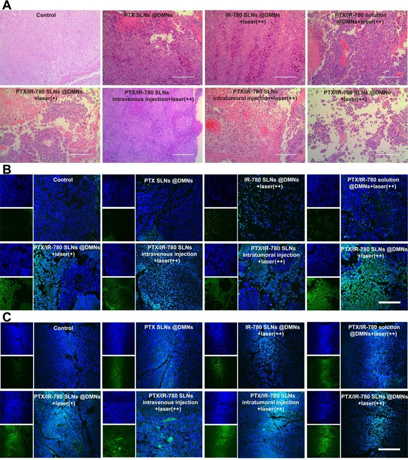 Theranostics Image