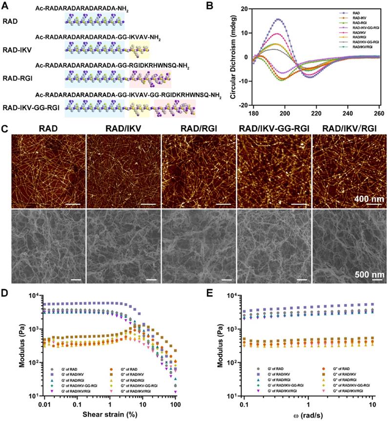 Theranostics Image