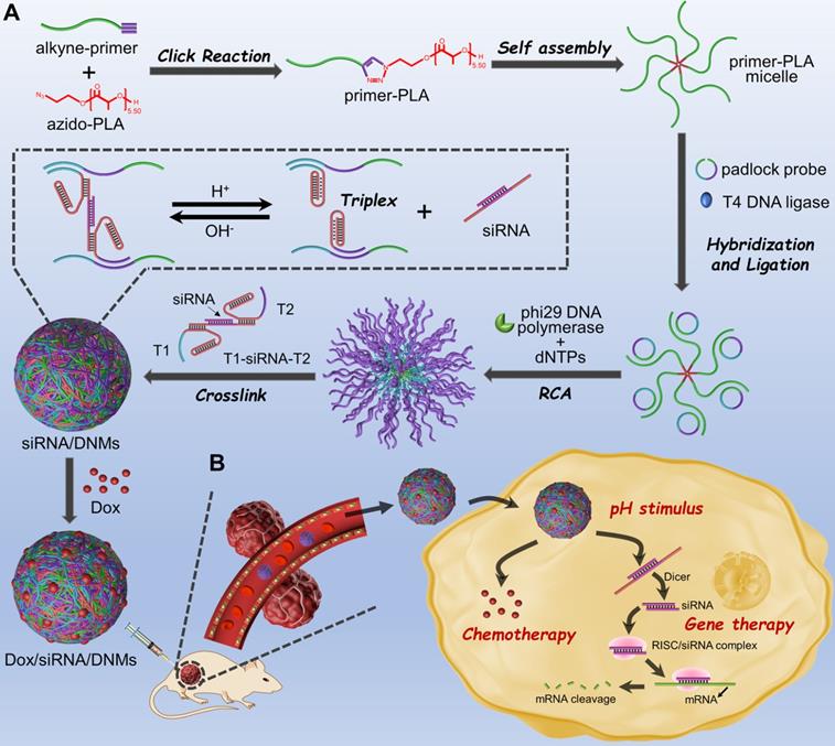 Theranostics Image