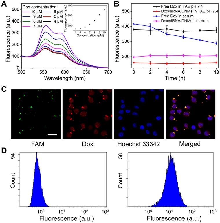 Theranostics Image