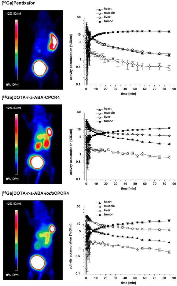 Theranostics Image