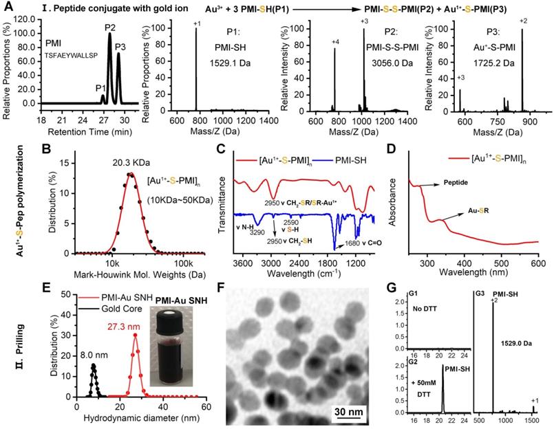 Theranostics Image