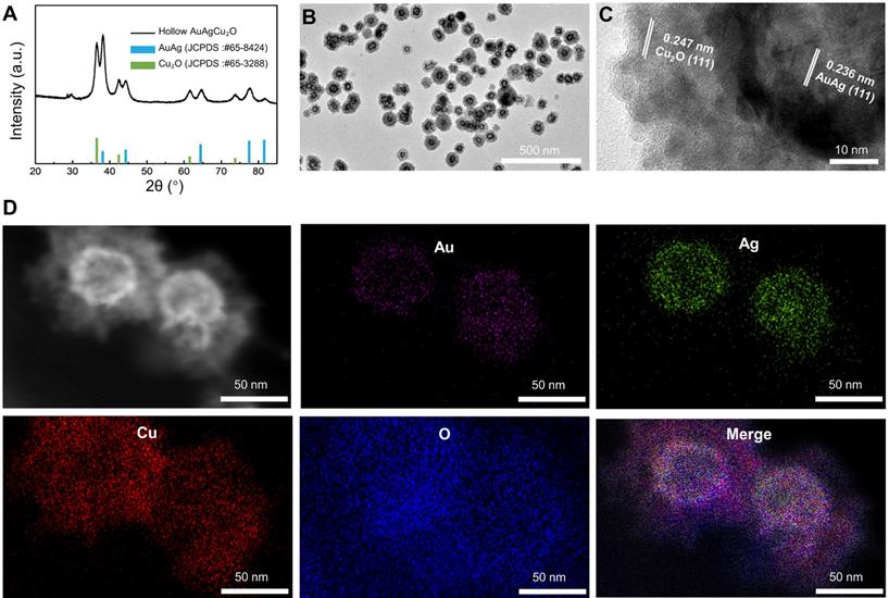 Theranostics Image