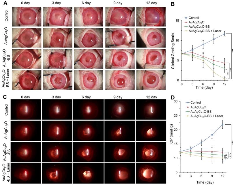 Theranostics Image