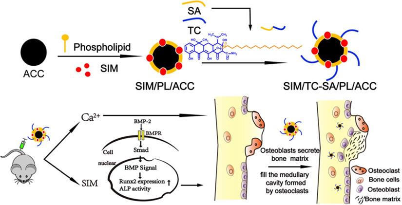 Theranostics Image