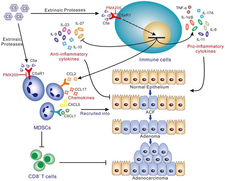 Theranostics Image