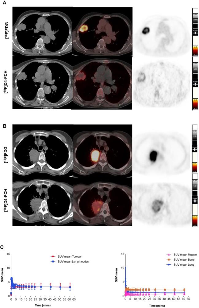 Theranostics Image