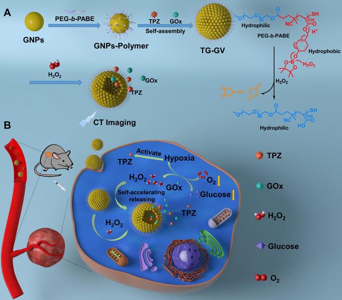 Theranostics Image