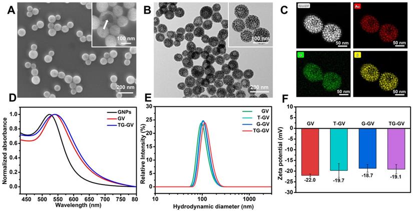 Theranostics Image