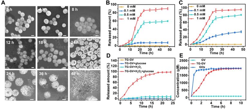 Theranostics Image