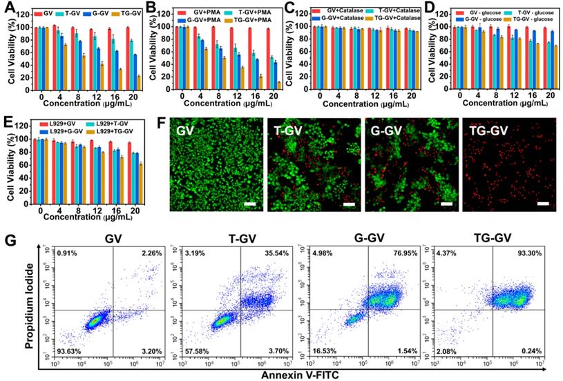 Theranostics Image