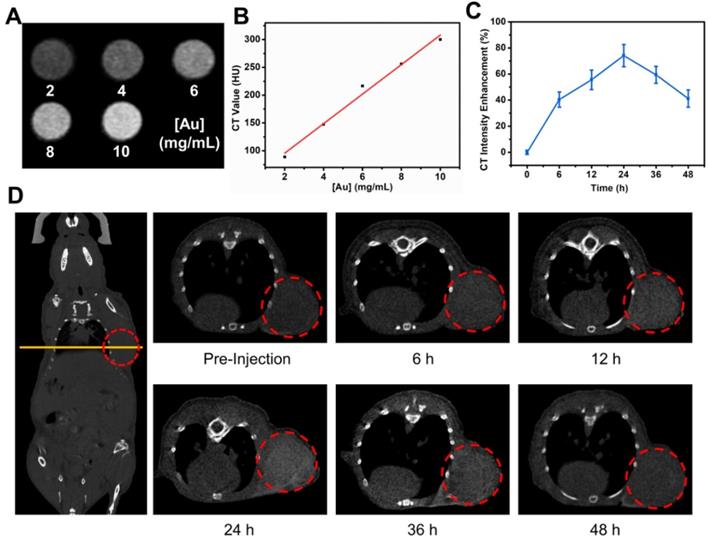 Theranostics Image