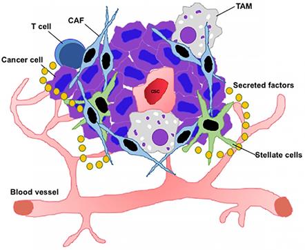 Theranostics Image